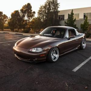 Avery Gloss Metallic Brown