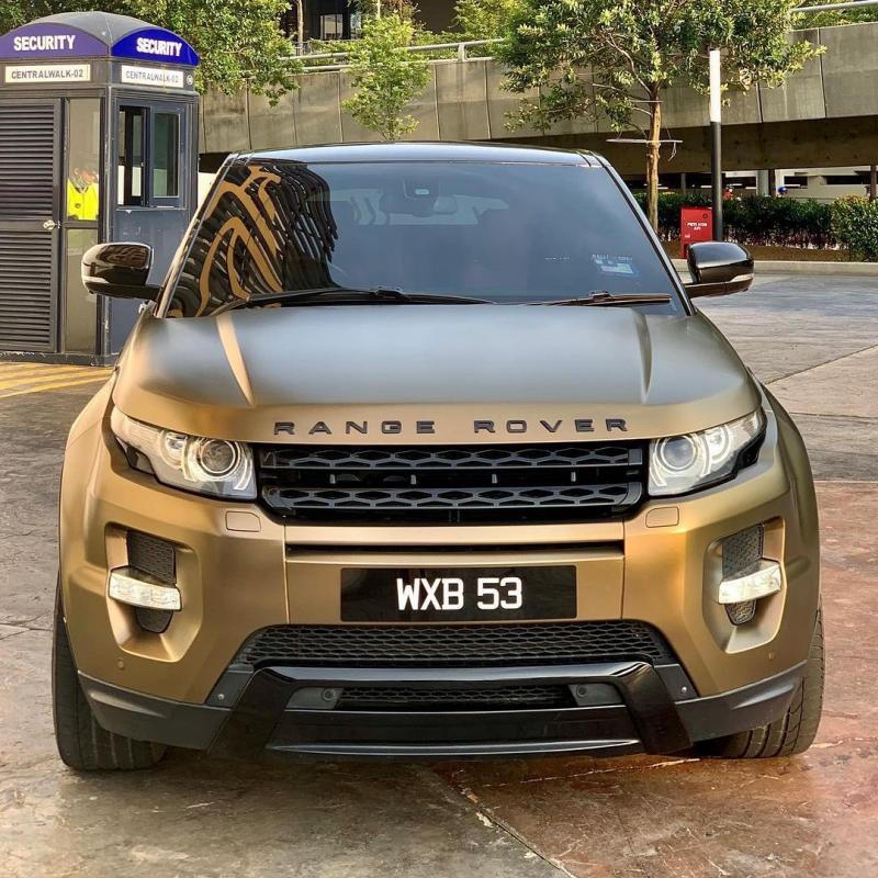 TeckWrap ECH17 Bond Gold