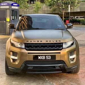 TeckWrap ECH17 Bond Gold