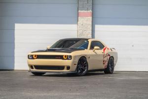 KPMF Desert Storm K75457 Vinyl