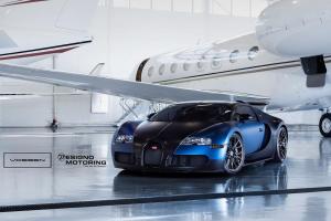 KPMF Matt Trenton Blue K75544 Vinyl