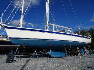 Mörkblå Stripes - Premium