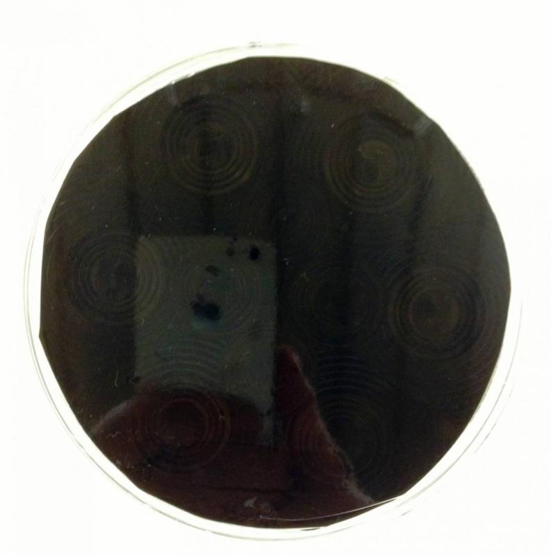 VN BASIC 40cm Strålkastarfilm (mörk)