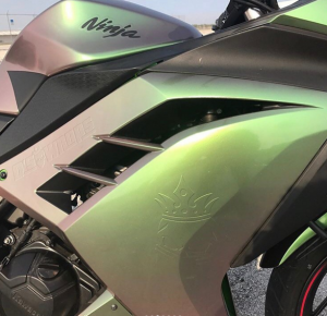 ORACAL 970GRA - 317 AVOCADO