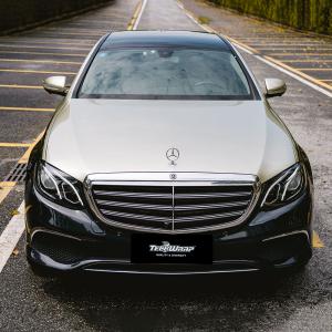 TeckWrap RB31-HD Silver Fern