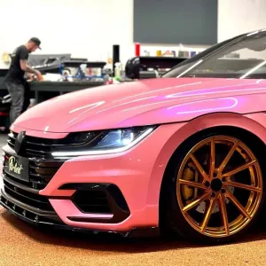 TeckWrap DS05-HD Wild Heather