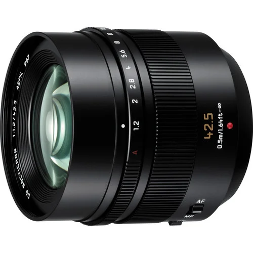 Panasonic Leica DG Nocticron 42.5mm f/1.2 ASPH. POWER O.I.S