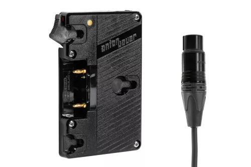 Wooden Camera Gold Mount (XLR 4 Pin)