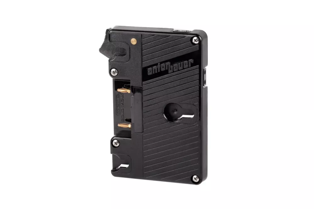Wooden Camera Gold Mount (Dual D-Tap)