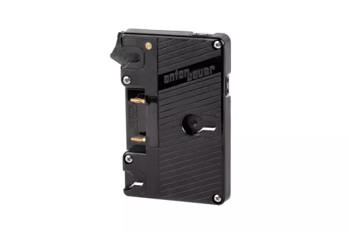 Wooden Camera Gold Mount (Dual D-Tap)