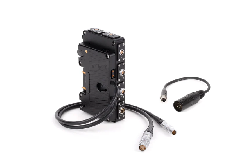 Wooden Camera D-Box (Alexa Mini / Mini LF, Gold Mount)