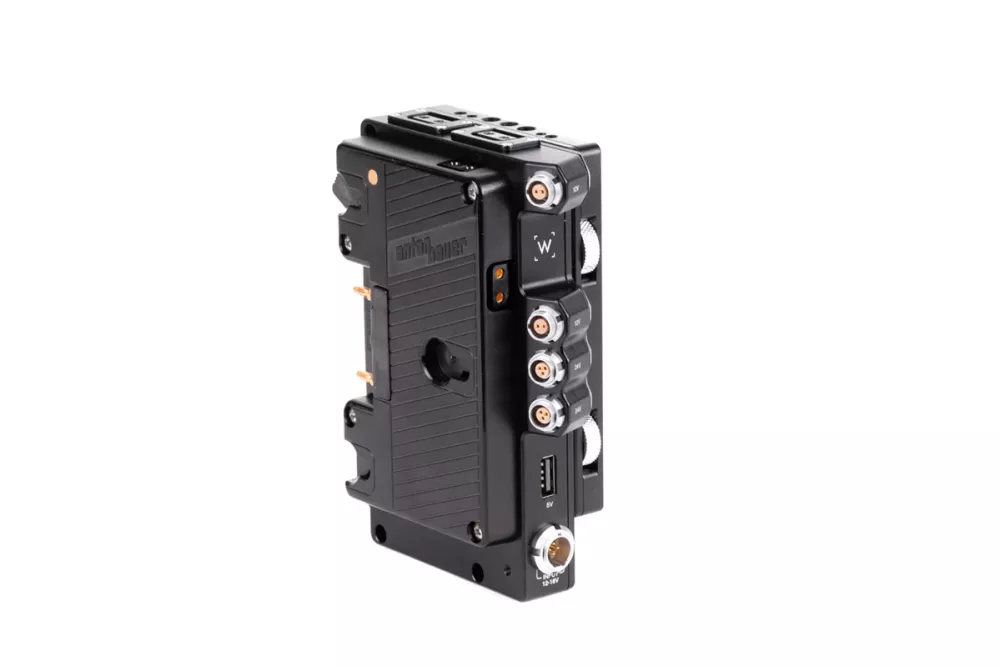 Wooden Camera D-Box (RED DSMC2, Gold Mount)