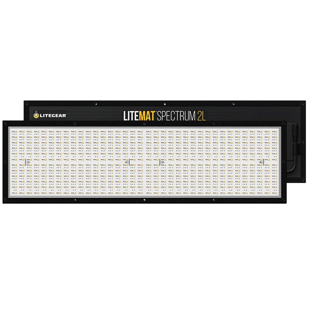 Elinchrom D-Lite RX 4/4 To Go Set Studioblixt kit