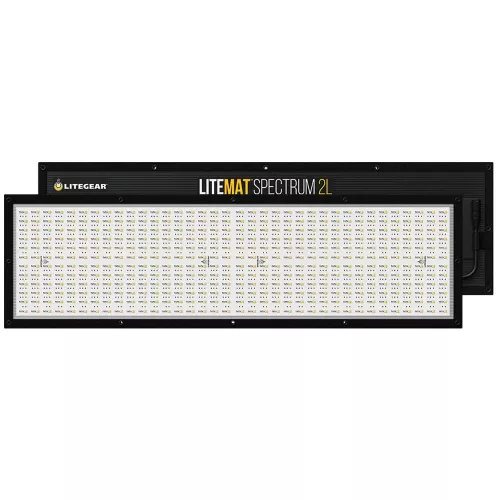Elinchrom D-Lite RX 4/4 To Go Set Studioflasht kit