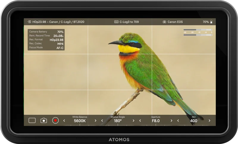 Atomos Shinobi II  5"  1500nit HDMI monitor