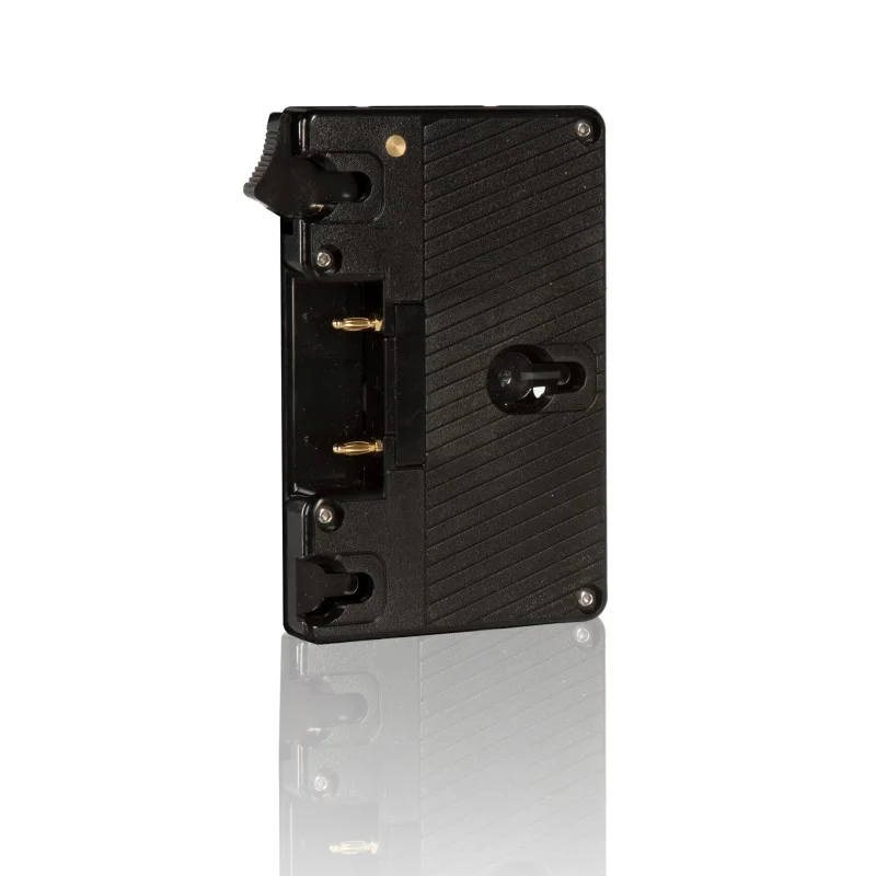 SHAPE GOLD MOUNT LOCK PLATE