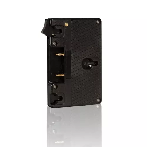 SHAPE GOLD MOUNT LOCK PLATE