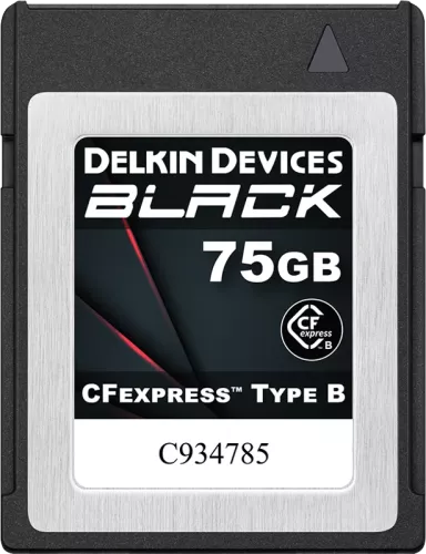 Delkin CFexpress BLACK I Type B I R1725/W1240 75GB