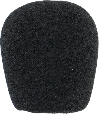 Hollyland Solidcom SE Mic Cushion 01