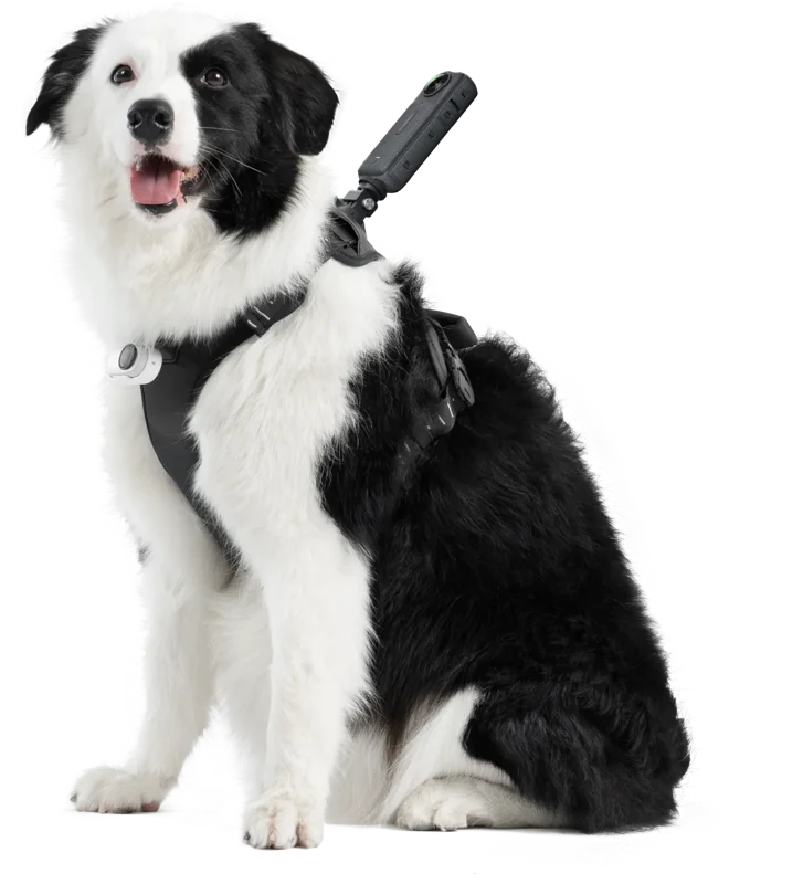 Insta360 Pet Harness Mount Size L