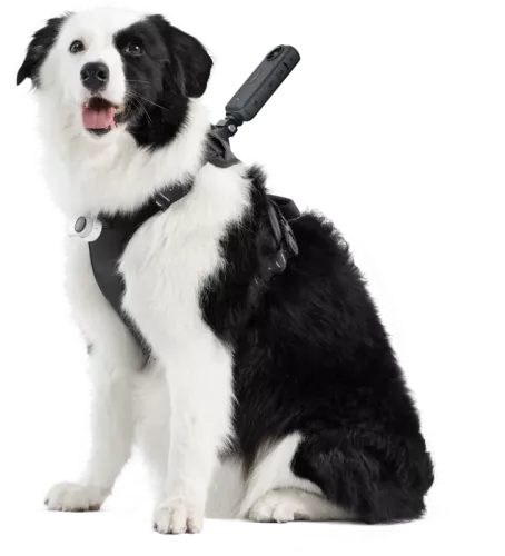 Insta360 Pet Harness Mount Size L
