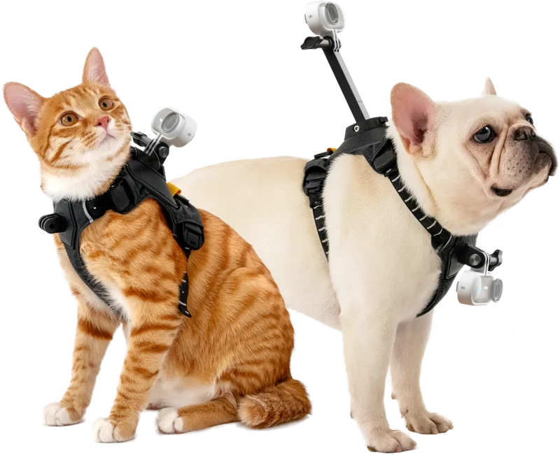 Insta360 Pet Harness Mount Size S