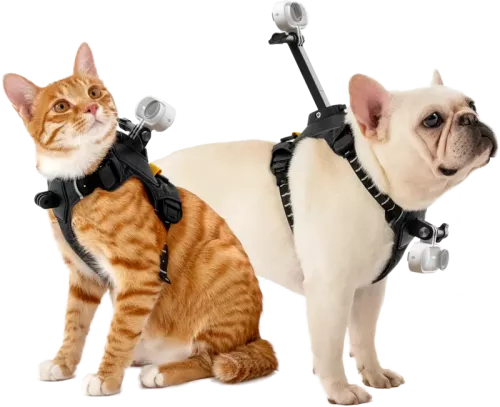 Insta360 Pet Harness Mount Size S