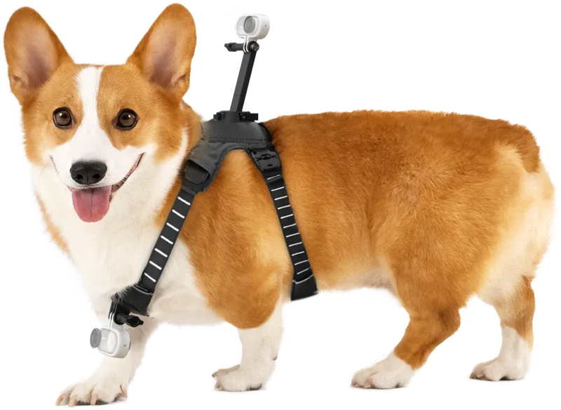 Insta360 Pet Harness Mount Size M