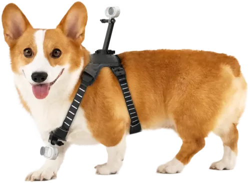 Insta360 Pet Harness Mount Size M