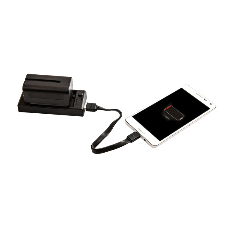 Nanlite CN-58 2-1 charger for NP style battery