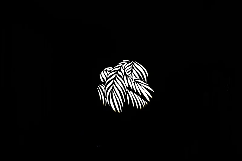 Nanlite GOBO Set 2 for PJ-FMM