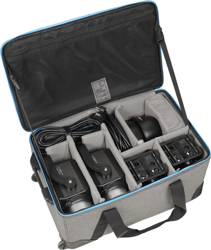 Nanlite Forza 300 II 2 Kit LED Spot Light with Trolley Case
