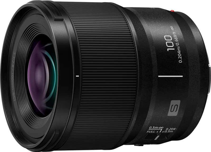 Panasonic Lumix S 100mm F/2.8 macro