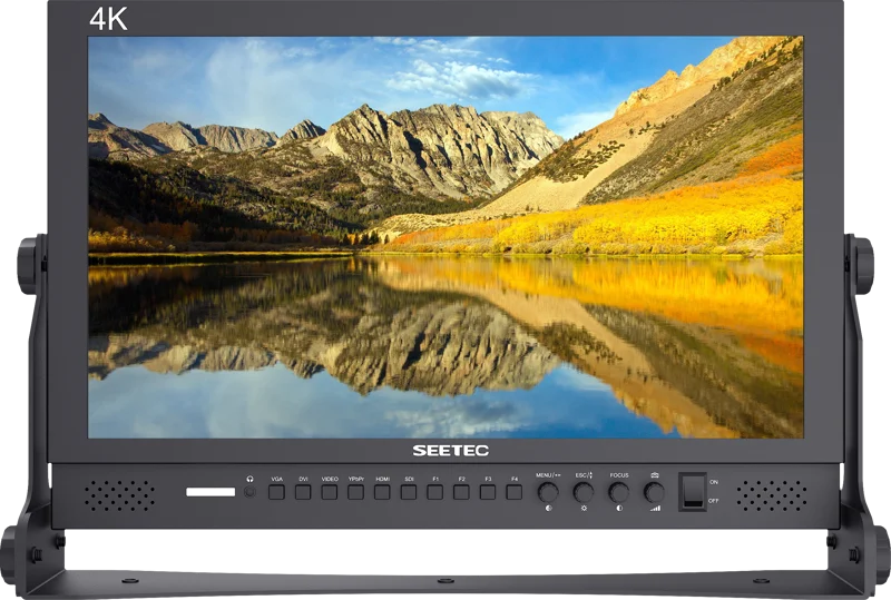 SEETEC monitor P173-9HSD 17.3""""