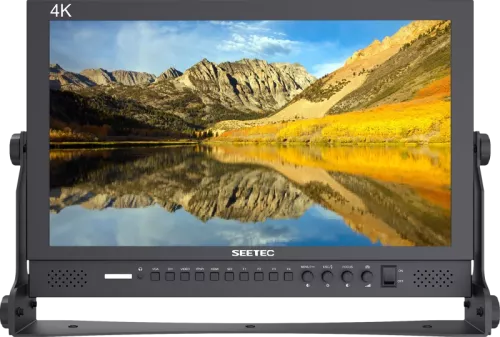 SEETEC monitor P173-9HSD 17.3""""