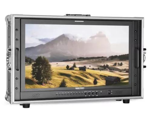 SEETEC Monitor P238-9HSD-CO Carry on