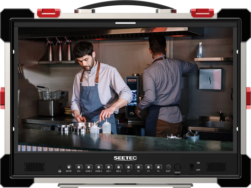 SEETEC monitor P215 PRO-CO