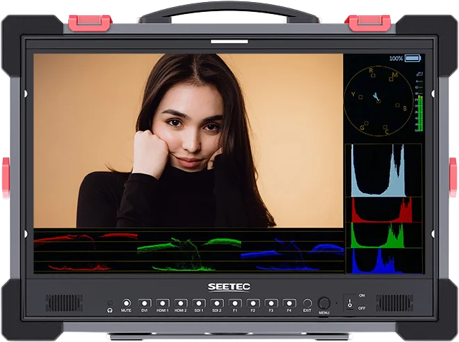 SEETEC monitor P215 PRO-CO