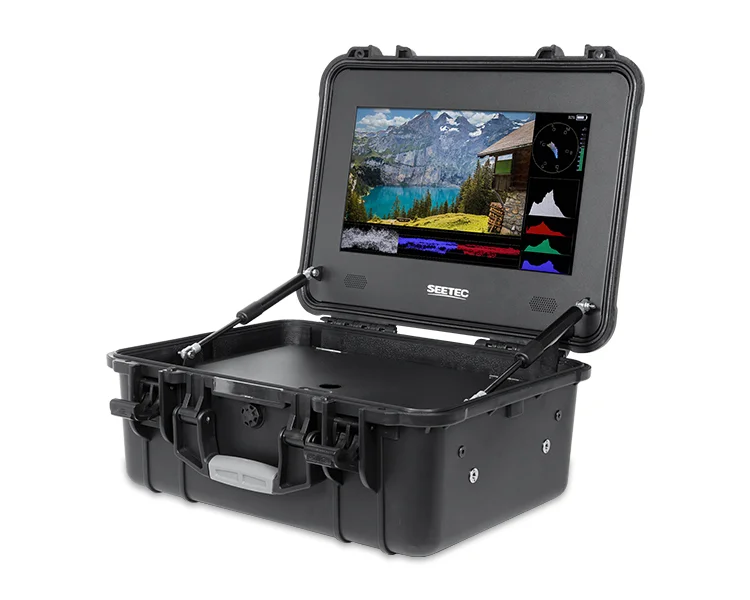 SEETEC monitor WPC156
