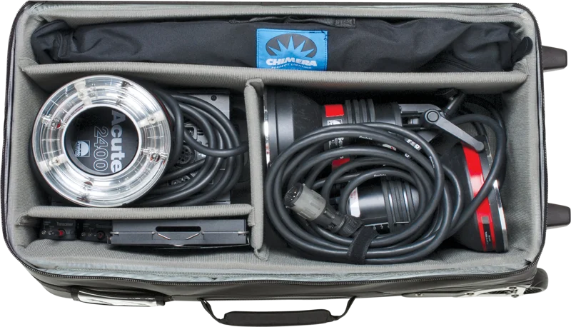 Think Tank Logistics Manager 30 V2.0, Black