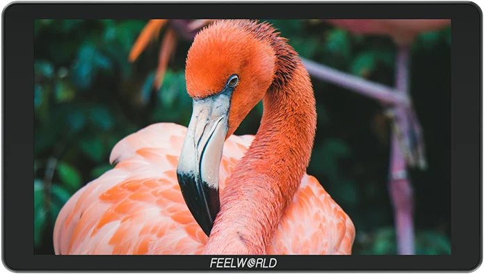 Feelworld Monitor P6XL 6"