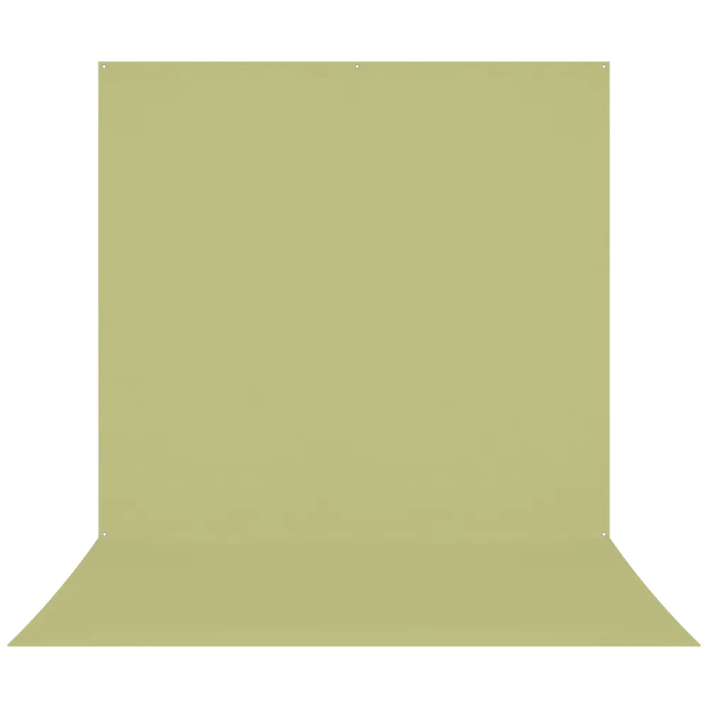 Westcott X Drop Pro Wrinkle Resistant Backdrop   Light Green Moss Sweep (2.4 x 4 m)