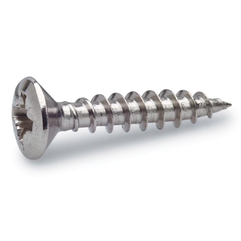 Skruv VVS A2 Polerad 5,5x40mm 4st Fast 281021