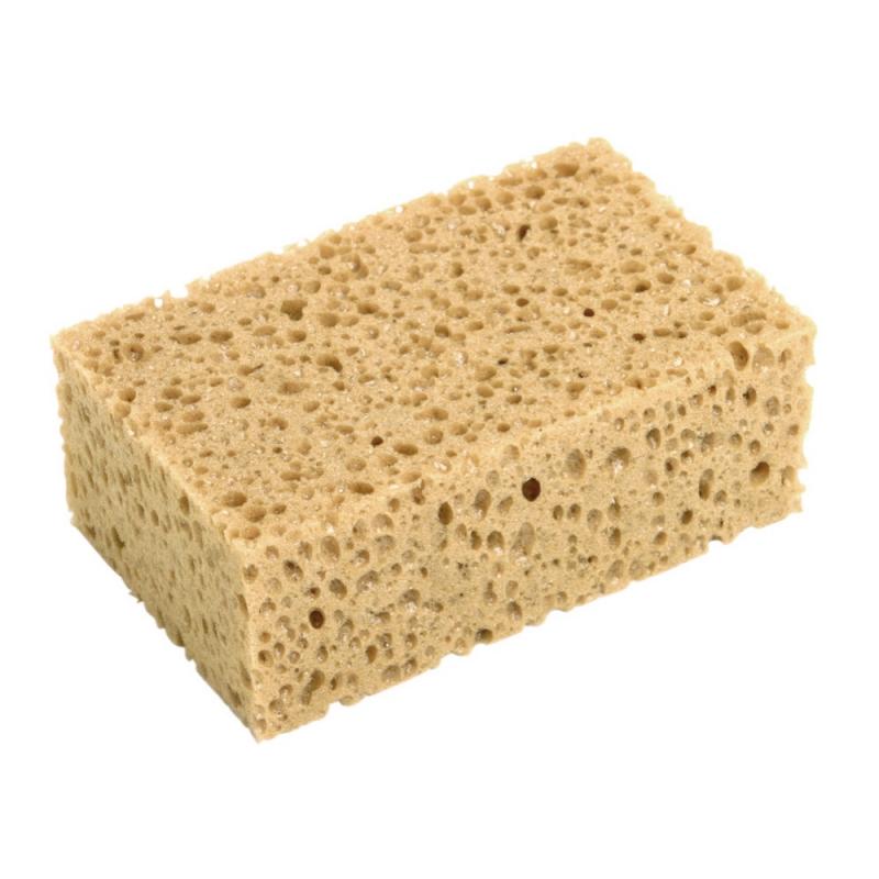 Proffssvamp Grovporig Tebo