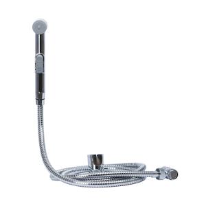 Bidet And Washbasin Shower