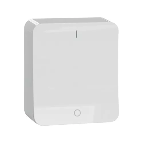 Switch Surface Mounted Exxact 2Poles 16A 250V White IP20 Schneider Electric