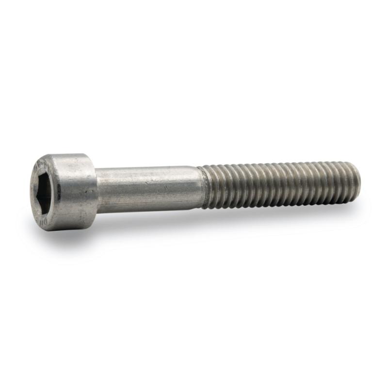 Insexskruv MC6S/M5, Rostfri /Syrafast, A4, 100st, Fast (12 mm)
