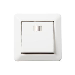 Switch 1-Pole With Light Recessed Without Claws 16A Mountain White Elko