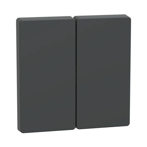 Rocker 2-Gäng Systemdesign IP20 Antracit Schneider Electric