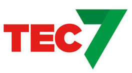 Fogmassa, Lim TEC7 MS Grå 310ML